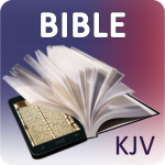 top 6 Best Bible Apps for Android